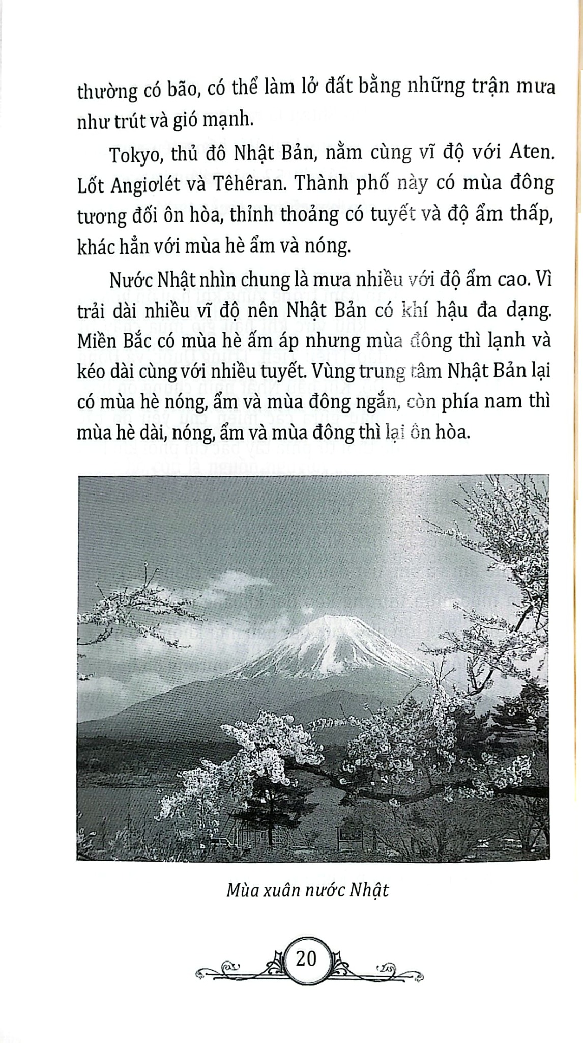 Tìm Hiểu Văn Hóa Nhật Bản - Nguyễn Trường Tân