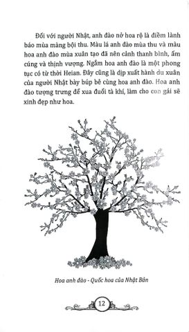  Combo 12 Cuốn Tìm Hiểu Văn Hóa ( Ả Rập + Ấn Độ + Hy Lạp + La Mã + Nhật Bản + Nga + Mỹ + Pháp + Úc + Hàn Quốc + Trung Hoa + Thái Lan ) 