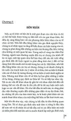 Không Gian Văn Hóa Nguyên Thủy - Nhìn Theo Lý Thuyết Chức Năng - Robert Lowie