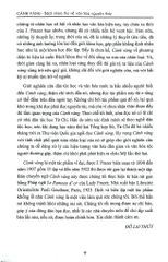 Cành Vàng (Bìa Cứng) - Ngô Bình Lâm