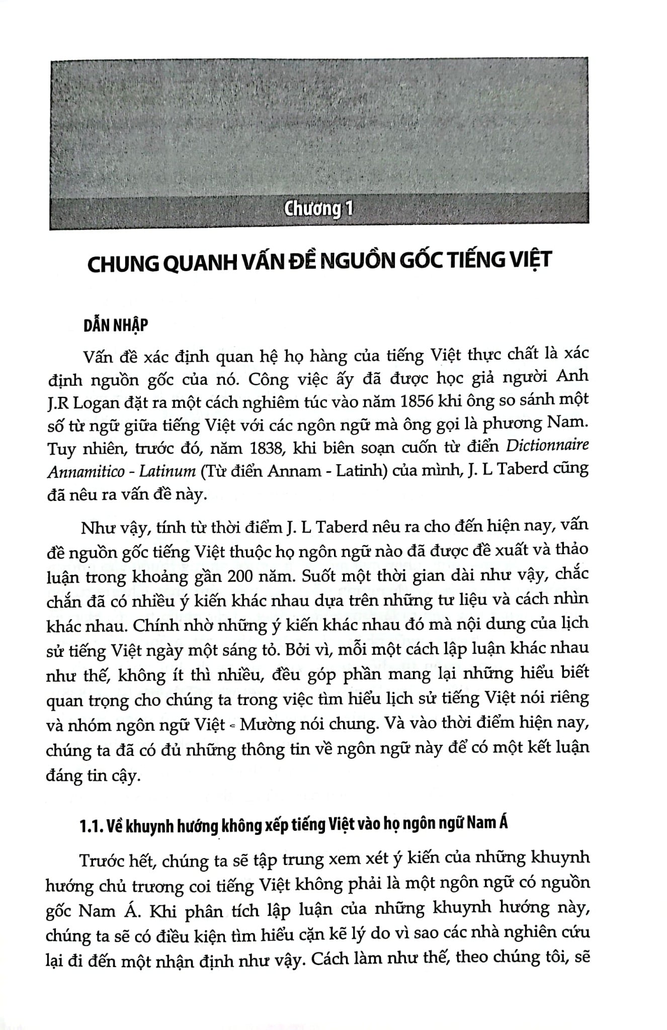 Tiếng Việt Lịch Sử Trước Thế Kỷ XX - Những Vấn Đề Quan Yếu - Đinh Văn Đức