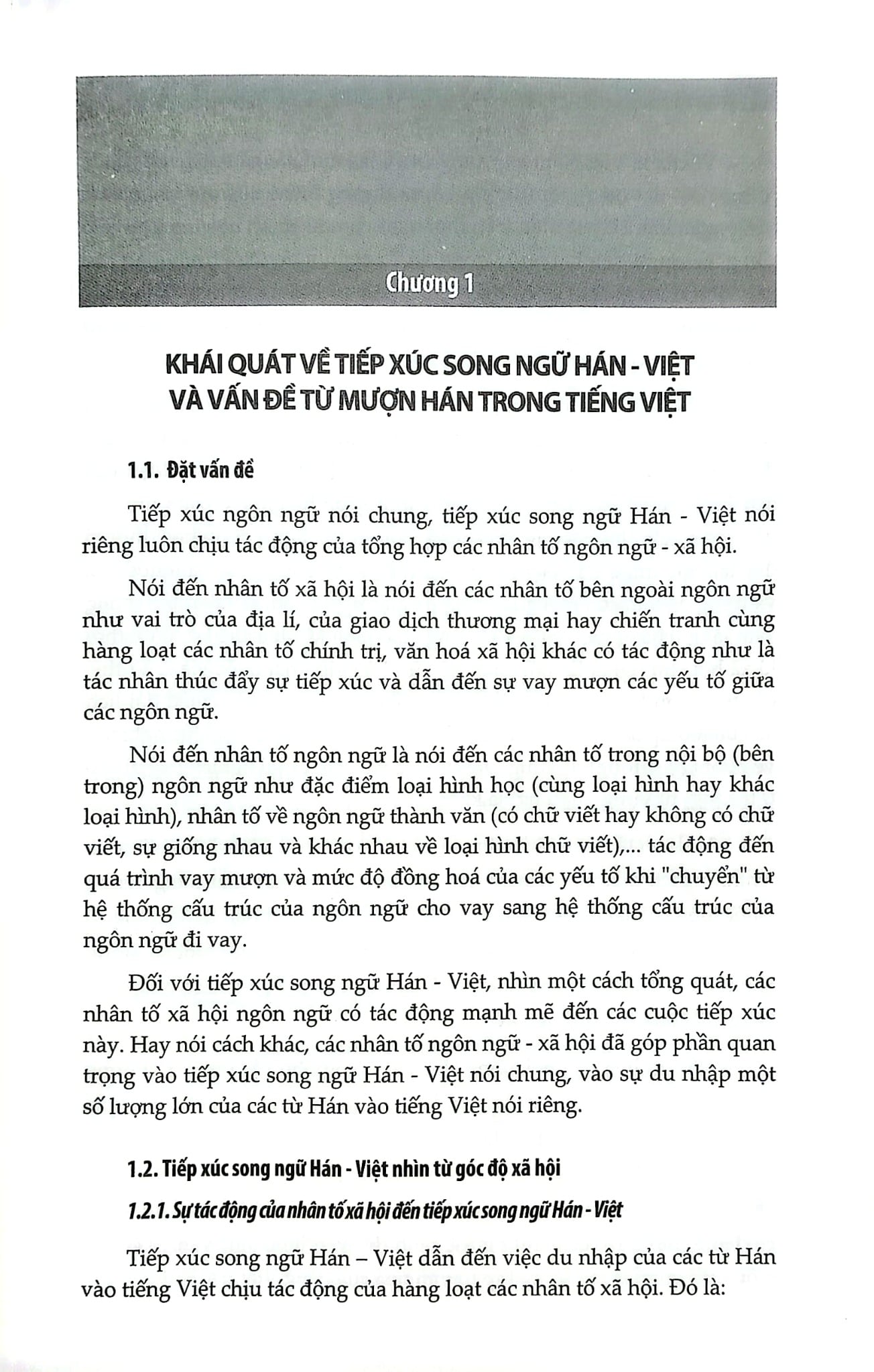 Tiếng Việt Lịch Sử Trước Thế Kỷ XX - Những Vấn Đề Quan Yếu - Đinh Văn Đức