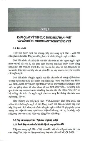  Tiếng Việt Lịch Sử Trước Thế Kỷ XX - Những Vấn Đề Quan Yếu - Đinh Văn Đức 