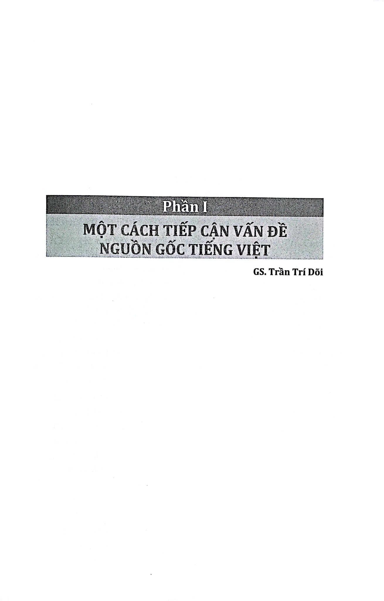 Tiếng Việt Lịch Sử Trước Thế Kỷ XX - Những Vấn Đề Quan Yếu - Đinh Văn Đức