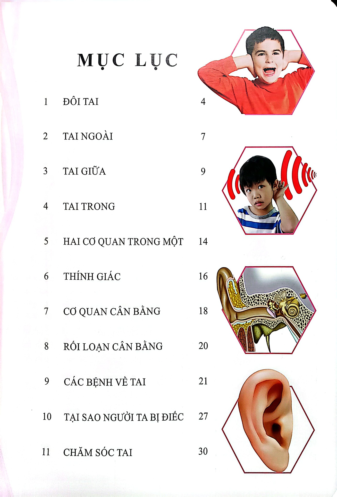 Combo 16 Cuốn Cơ Thể Của Tôi Hoạt Động Như Thế Nào ?