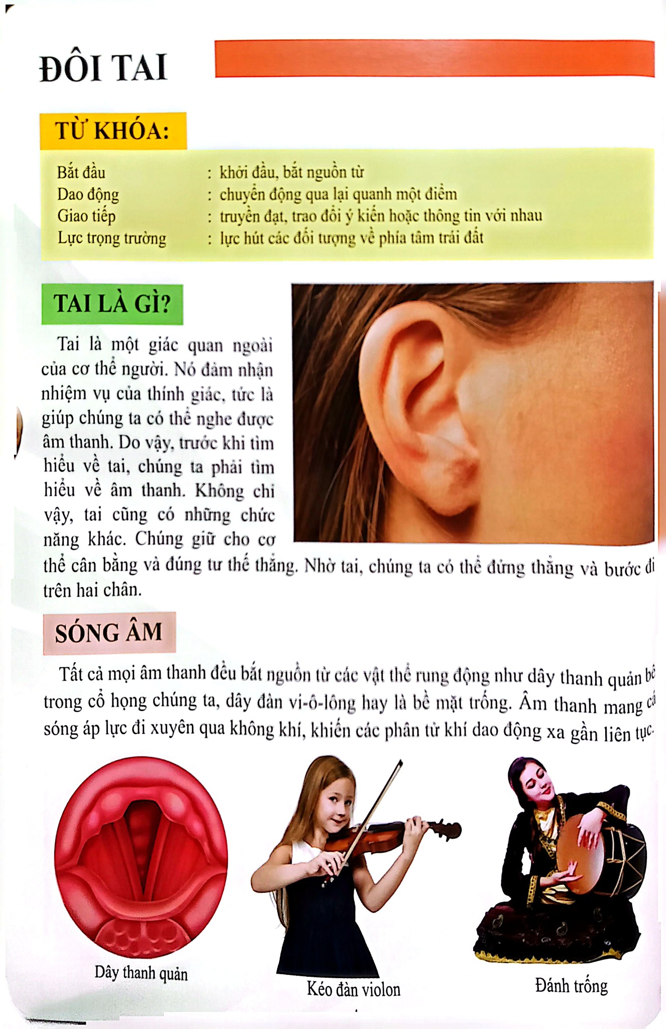 Combo 16 Cuốn Cơ Thể Của Tôi Hoạt Động Như Thế Nào ?