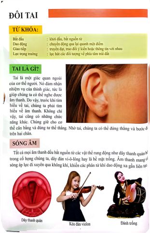  Combo 16 Cuốn Cơ Thể Của Tôi Hoạt Động Như Thế Nào ? 