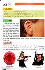 Combo 16 Cuốn Cơ Thể Của Tôi Hoạt Động Như Thế Nào ?