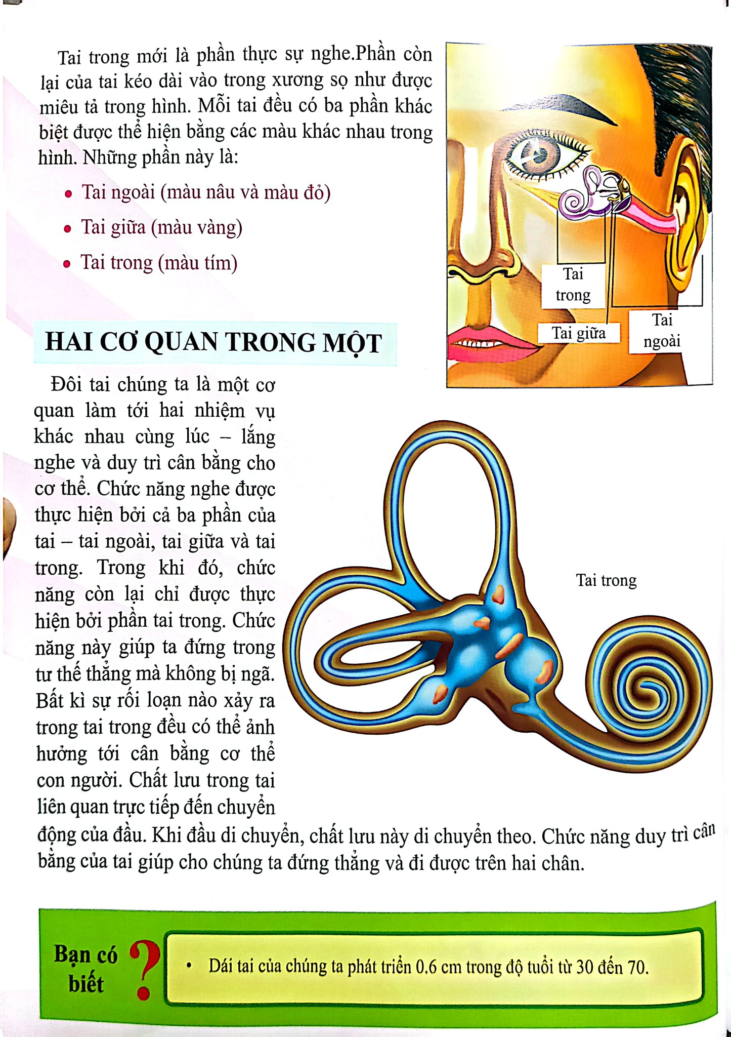 Combo 16 Cuốn Cơ Thể Của Tôi Hoạt Động Như Thế Nào ?