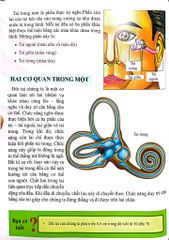 Combo 16 Cuốn Cơ Thể Của Tôi Hoạt Động Như Thế Nào ?