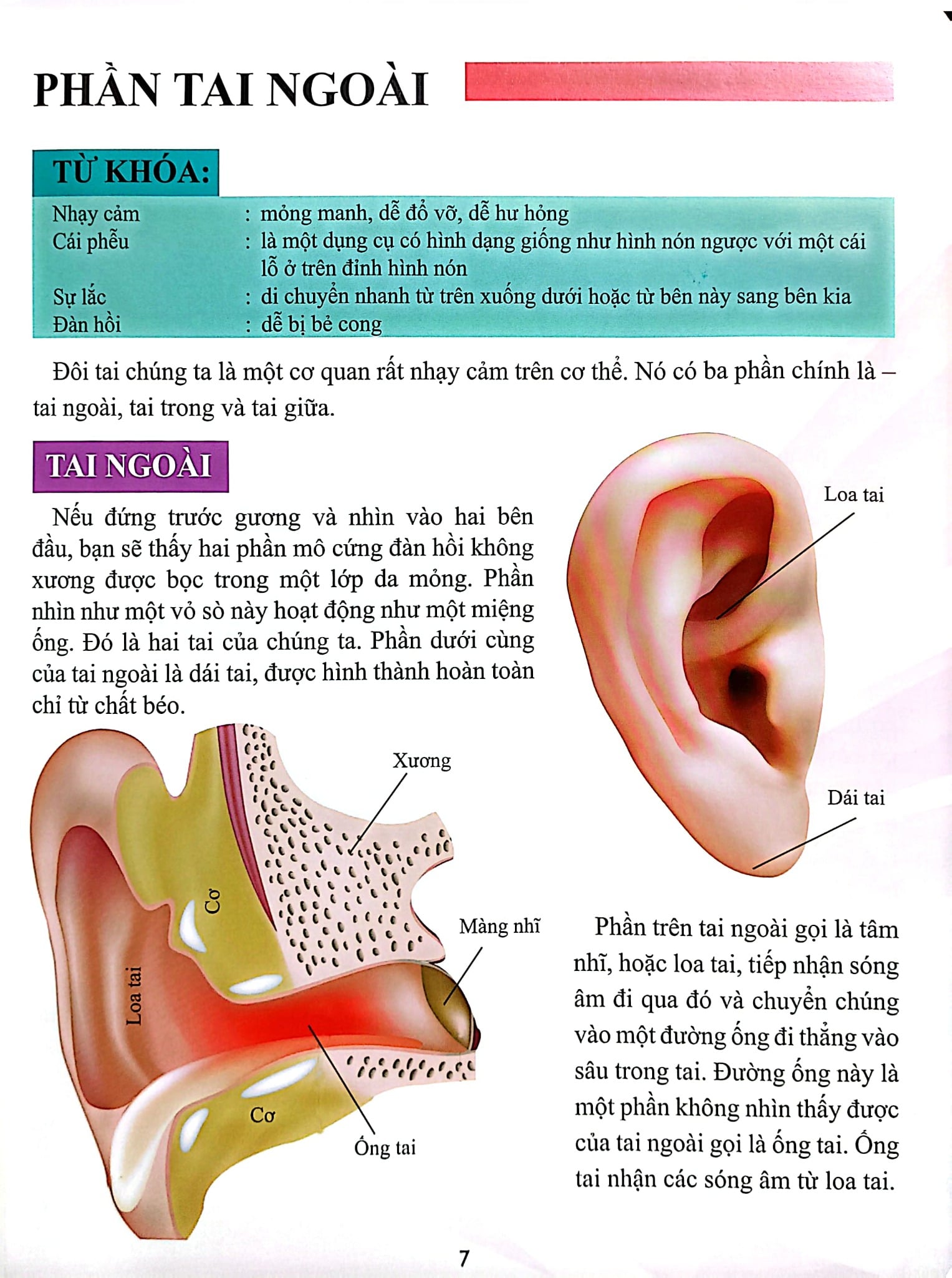 Cơ Thể Của Tôi Hoạt Động Như Thế Nào Tai - T.R.Bhanot