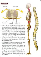 Cơ Thể Của Tôi Hoạt Động Như Thế Nào - Bộ Não - T.R.Bhanot