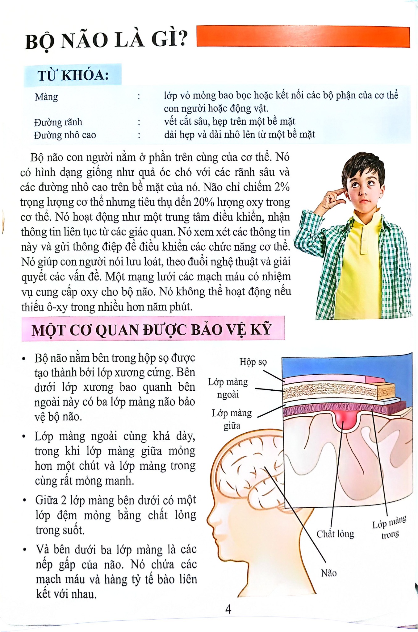 Combo 16 Cuốn Cơ Thể Của Tôi Hoạt Động Như Thế Nào ?