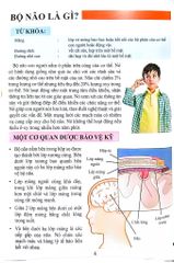 Combo 16 Cuốn Cơ Thể Của Tôi Hoạt Động Như Thế Nào ?