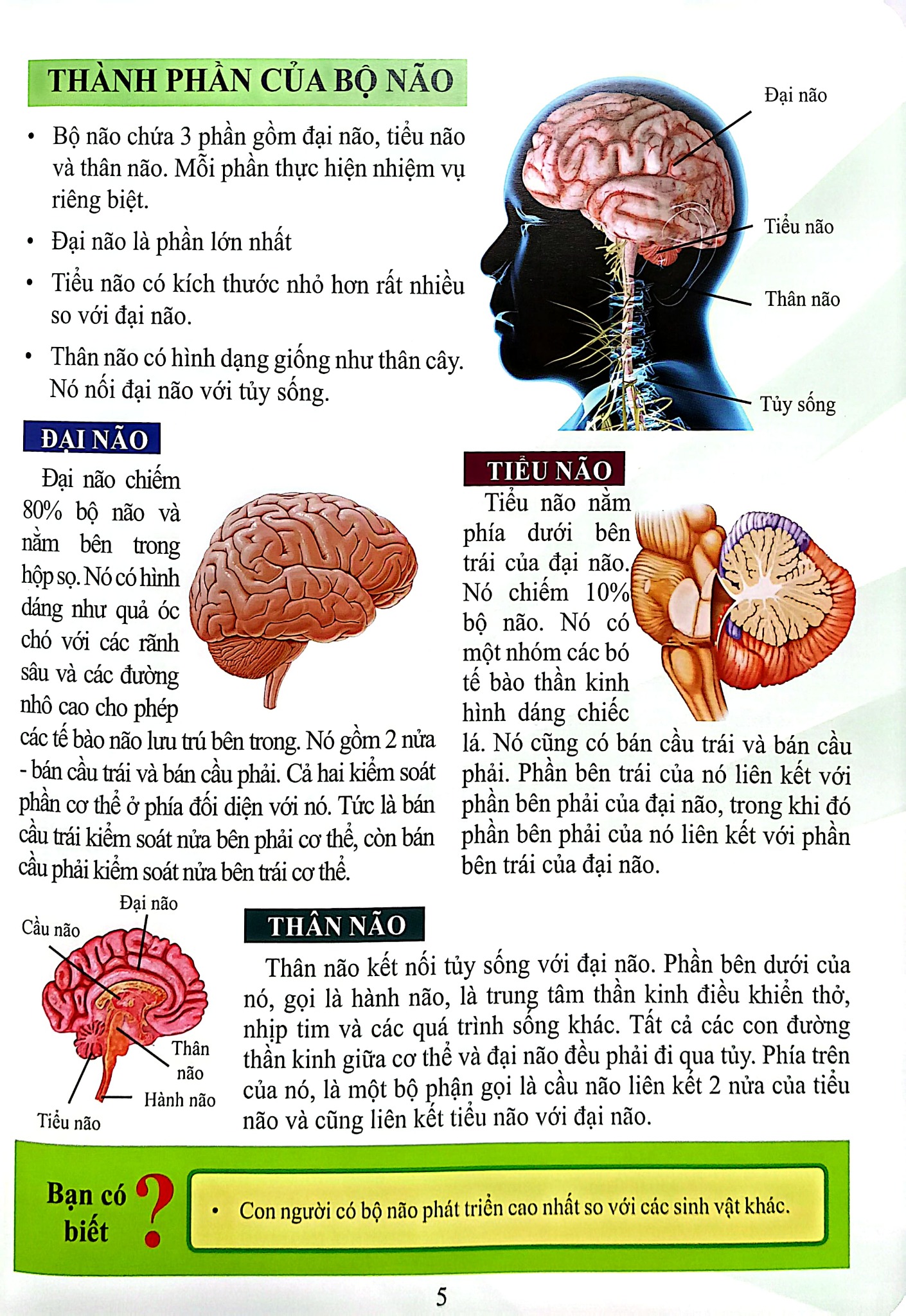 Combo 16 Cuốn Cơ Thể Của Tôi Hoạt Động Như Thế Nào ?