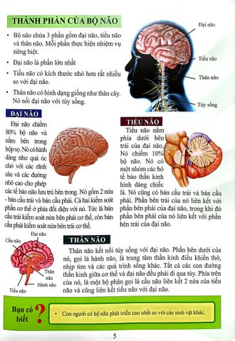  Combo 16 Cuốn Cơ Thể Của Tôi Hoạt Động Như Thế Nào ? 