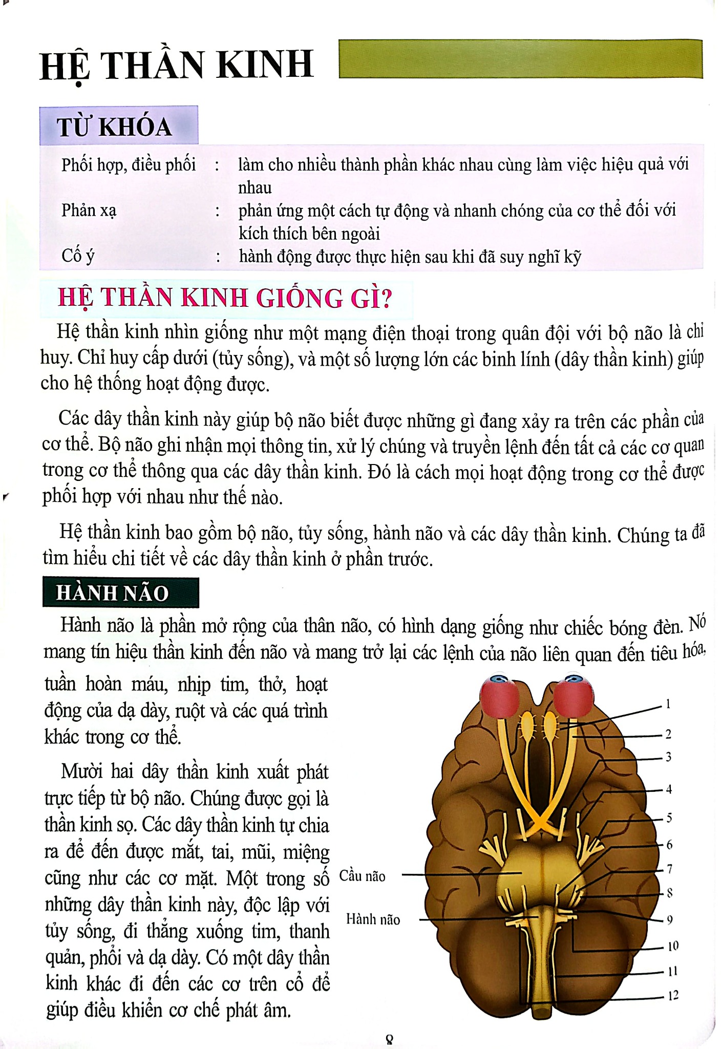 Cơ Thể Của Tôi Hoạt Động Như Thế Nào - Bộ Não - T.R.Bhanot