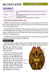 Cơ Thể Của Tôi Hoạt Động Như Thế Nào - Bộ Não - T.R.Bhanot