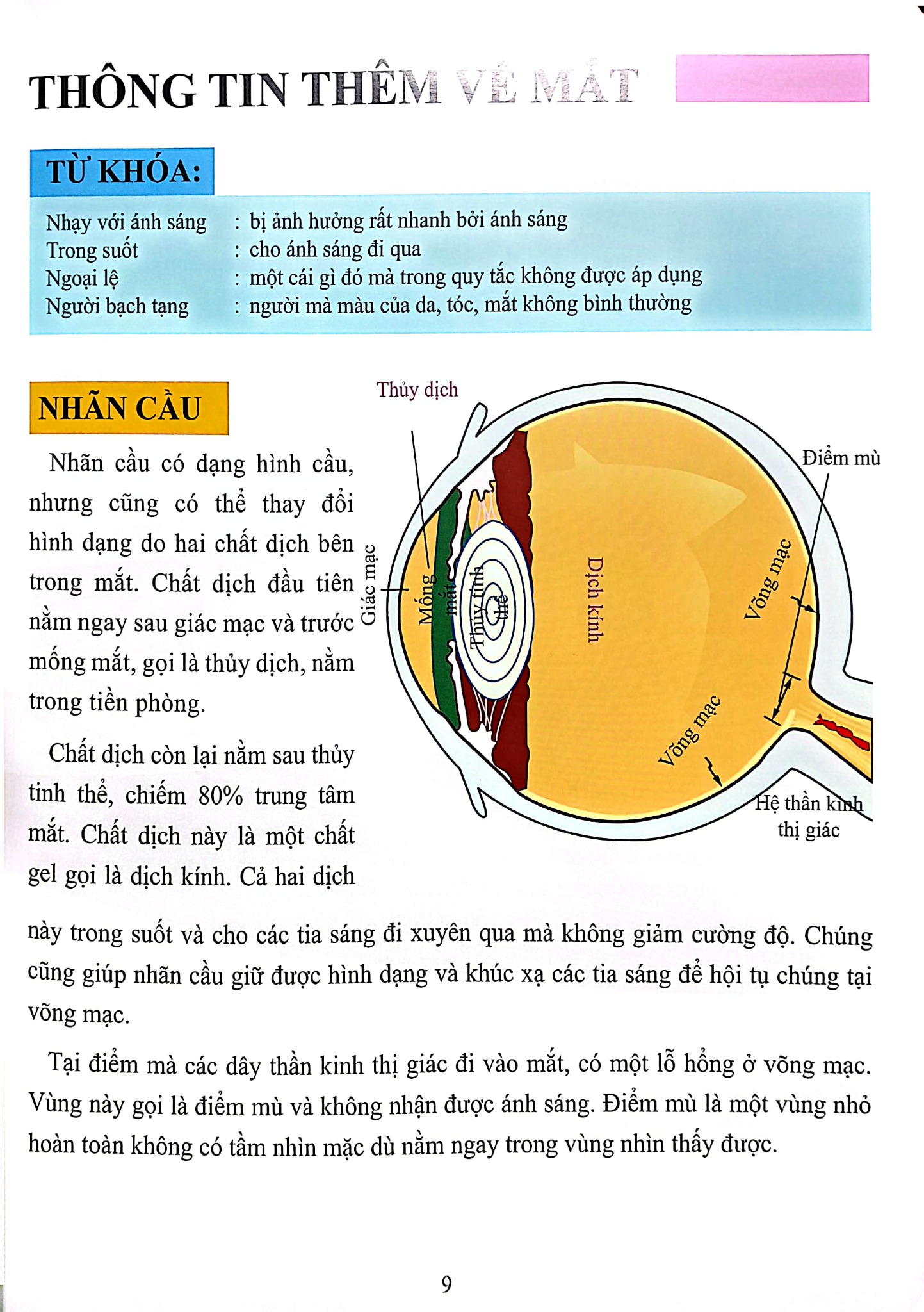 Cơ Thể Của Tôi Hoạt Động Như Thế Nào Mắt - T.R.Bhanot