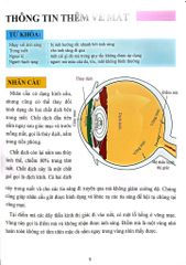 Cơ Thể Của Tôi Hoạt Động Như Thế Nào Mắt - T.R.Bhanot