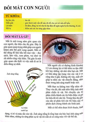  Combo 16 Cuốn Cơ Thể Của Tôi Hoạt Động Như Thế Nào ? 