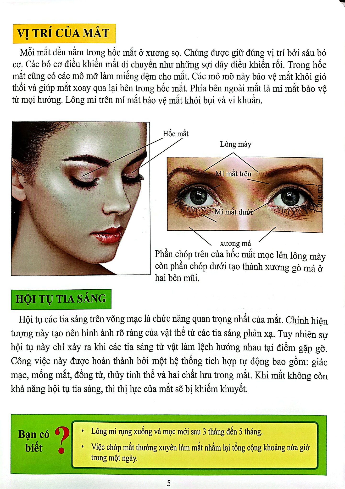 Cơ Thể Của Tôi Hoạt Động Như Thế Nào Mắt - T.R.Bhanot