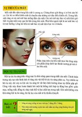 Cơ Thể Của Tôi Hoạt Động Như Thế Nào Mắt - T.R.Bhanot