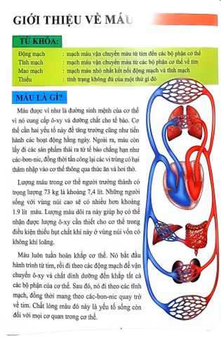  Combo 16 Cuốn Cơ Thể Của Tôi Hoạt Động Như Thế Nào ? 