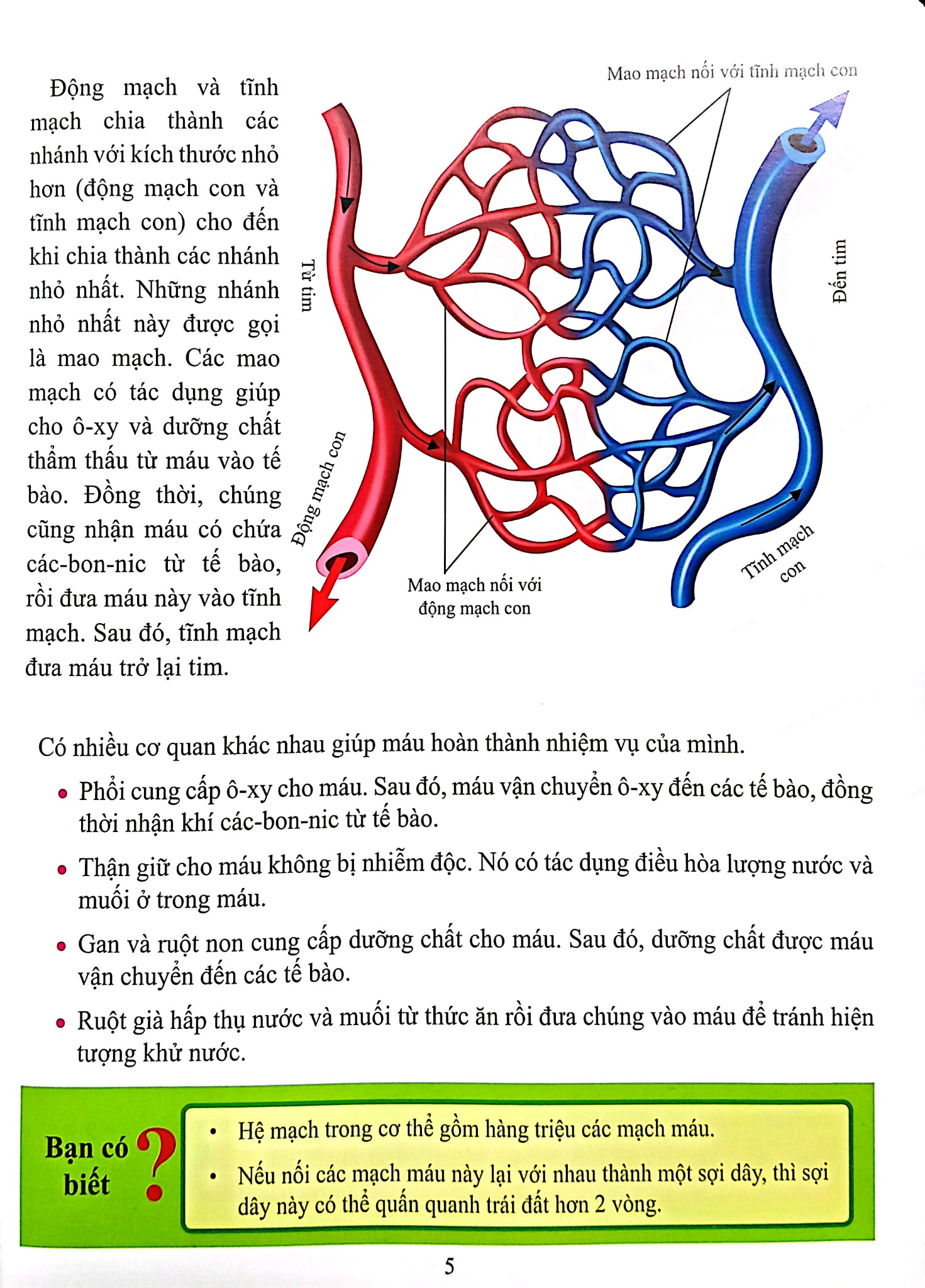 Combo 16 Cuốn Cơ Thể Của Tôi Hoạt Động Như Thế Nào ?