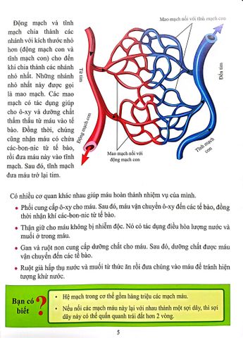  Combo 16 Cuốn Cơ Thể Của Tôi Hoạt Động Như Thế Nào ? 
