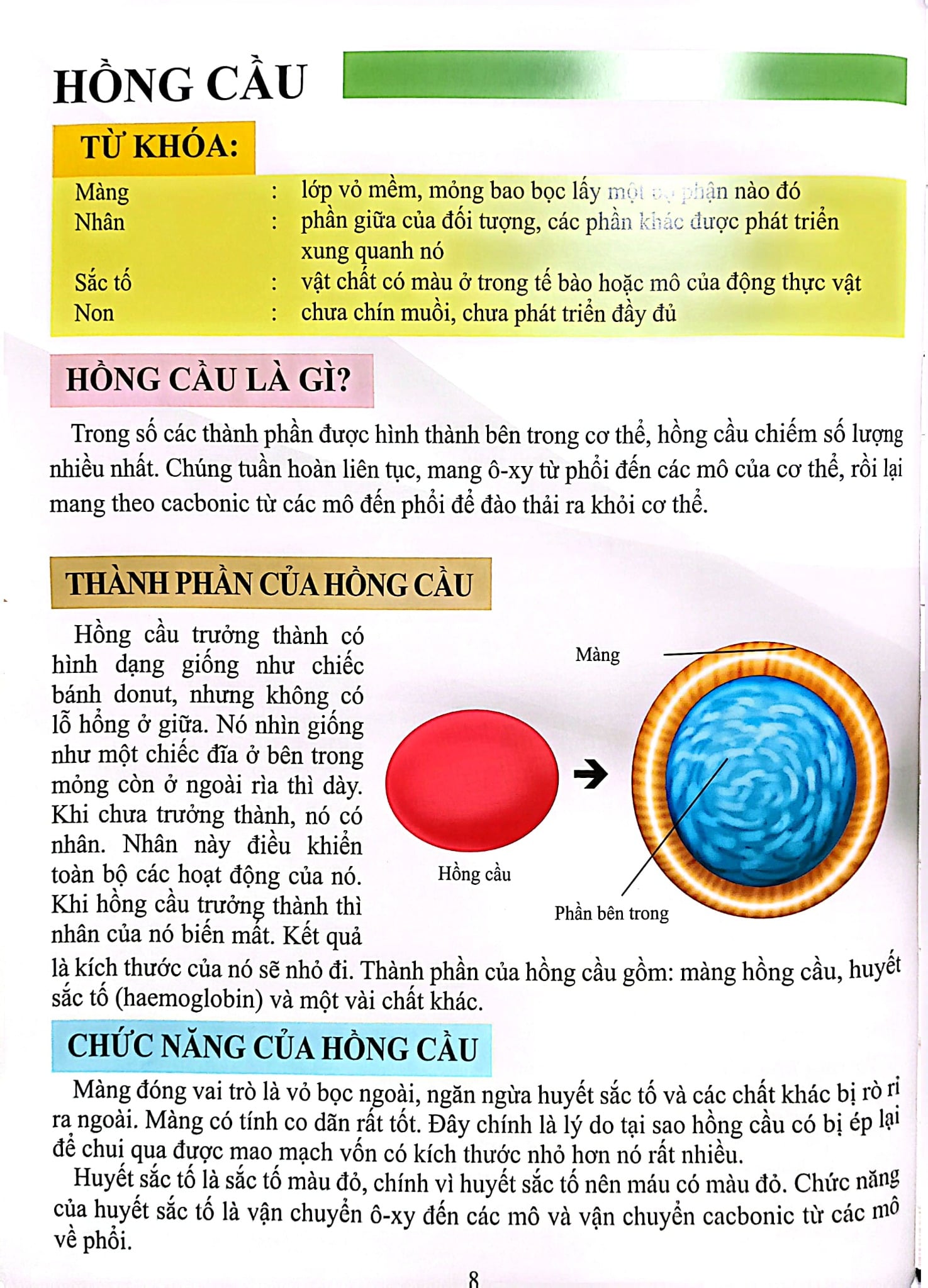 Cơ Thể Của Tôi Hoạt Động Như Thế Nào Máu - T.R.Bhanot