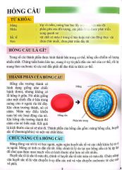 Cơ Thể Của Tôi Hoạt Động Như Thế Nào Máu - T.R.Bhanot