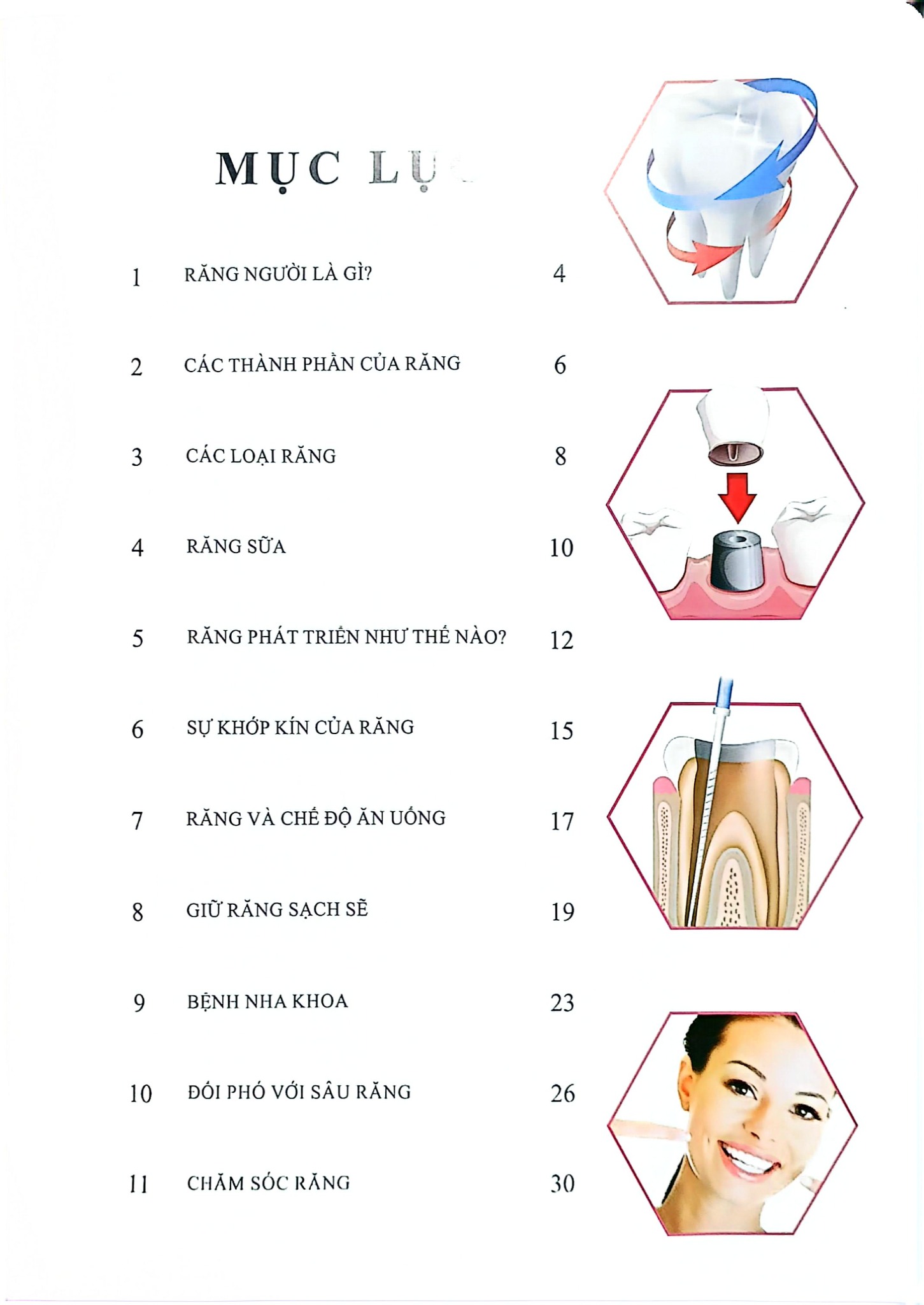 Cơ Thể Của Tôi Hoạt Động Như Thế Nào Răng - T.R.Bhanot