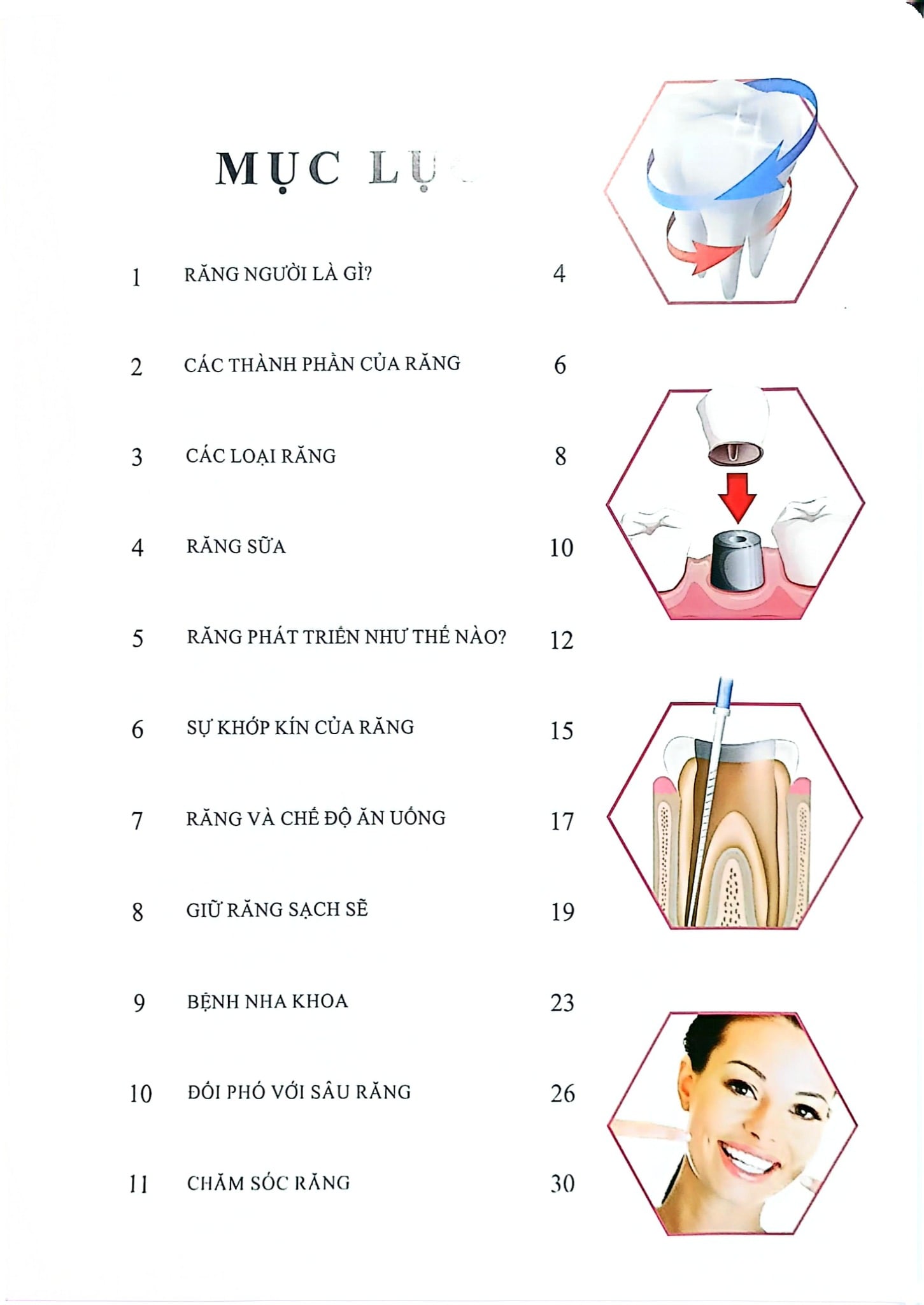 Combo 16 Cuốn Cơ Thể Của Tôi Hoạt Động Như Thế Nào ?