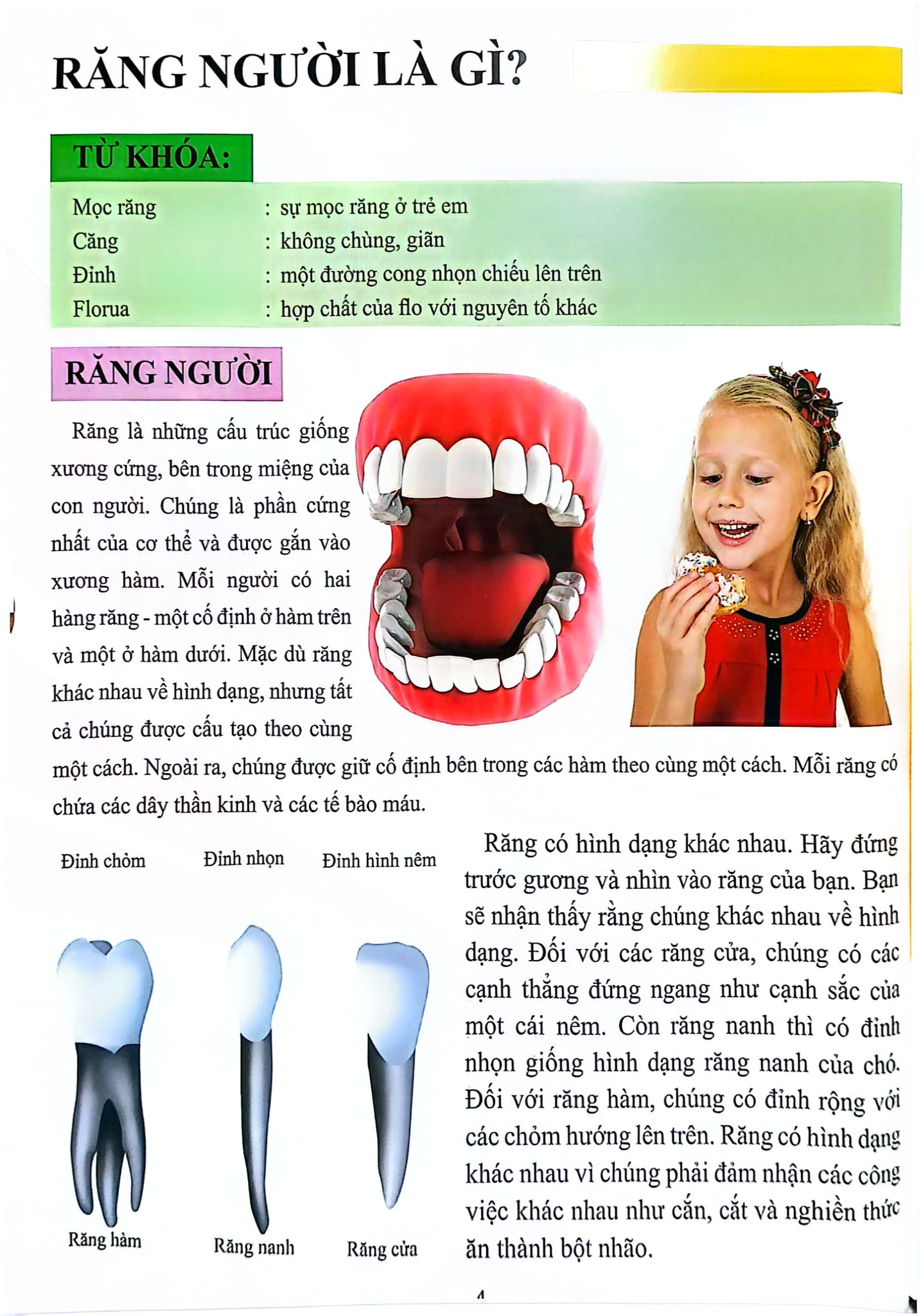 Combo 16 Cuốn Cơ Thể Của Tôi Hoạt Động Như Thế Nào ?