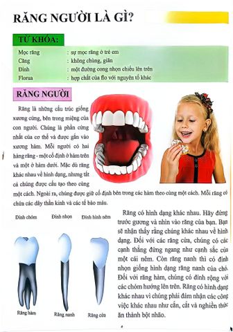  Combo 16 Cuốn Cơ Thể Của Tôi Hoạt Động Như Thế Nào ? 