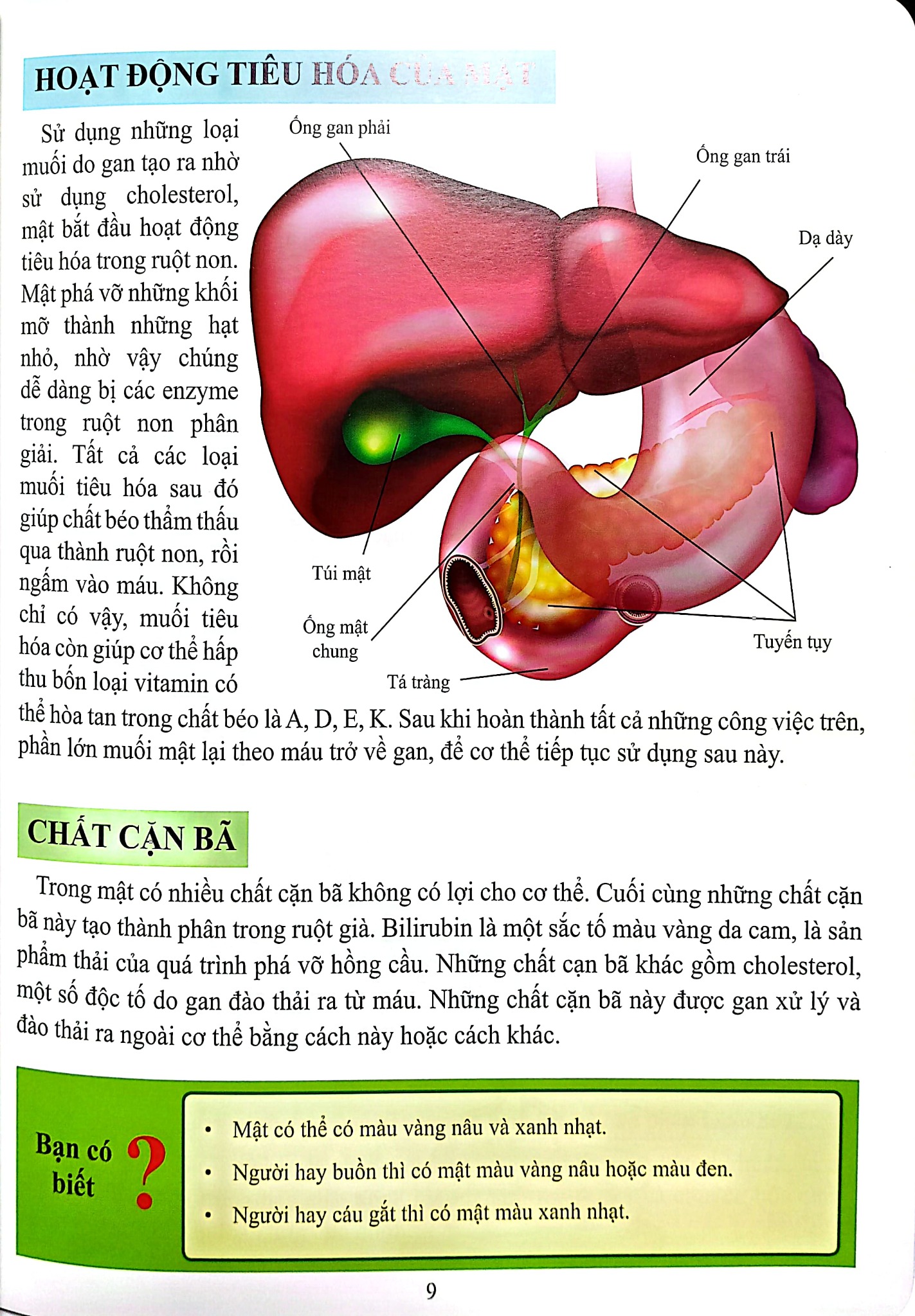 Cơ Thể Của Tôi Hoạt Động Như Thế Nào- Gan - T.R.Bhanot