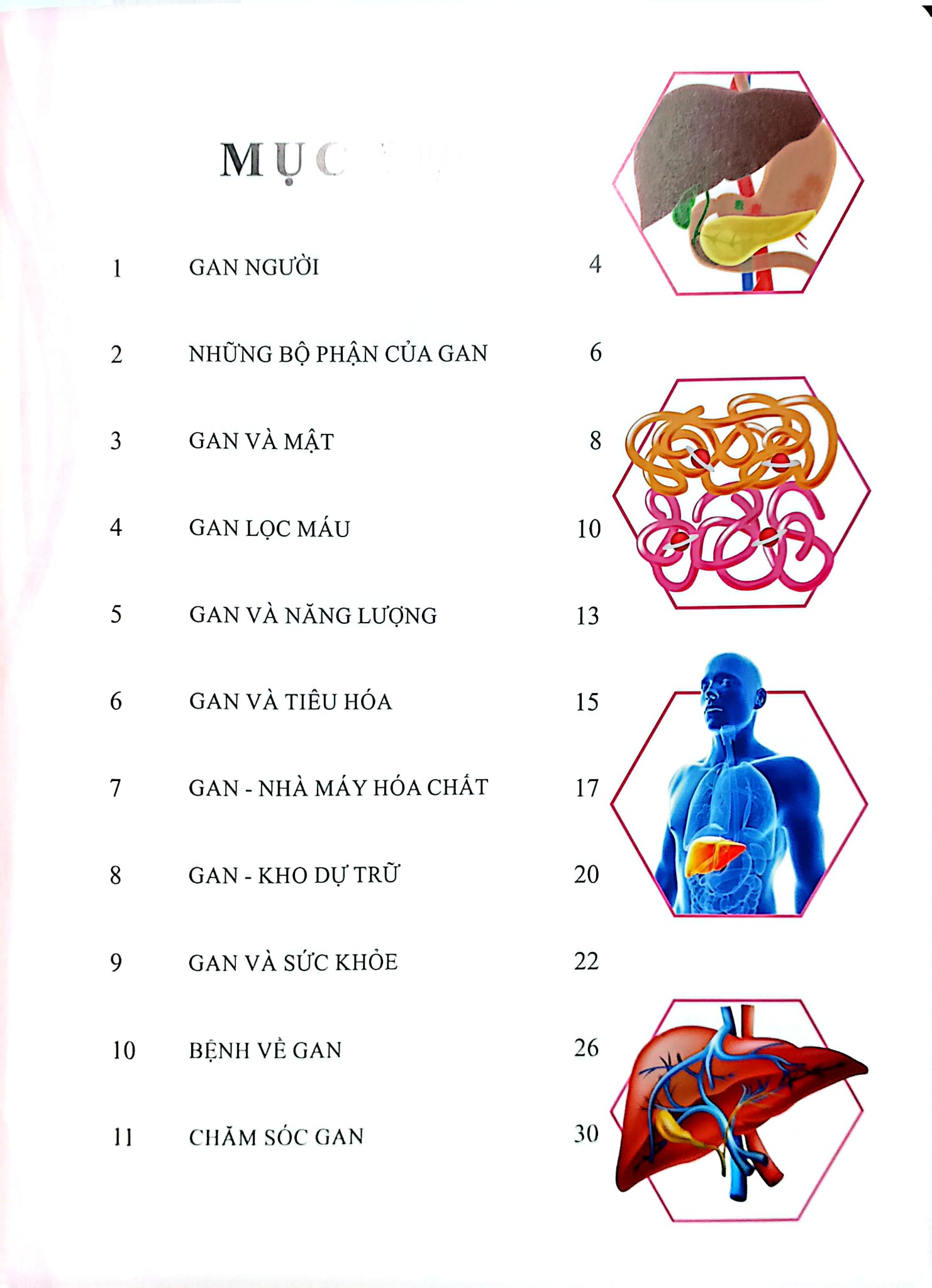 Cơ Thể Của Tôi Hoạt Động Như Thế Nào- Gan - T.R.Bhanot