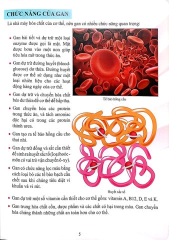  Combo 16 Cuốn Cơ Thể Của Tôi Hoạt Động Như Thế Nào ? 