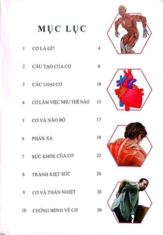  Combo 16 Cuốn Cơ Thể Của Tôi Hoạt Động Như Thế Nào ? 
