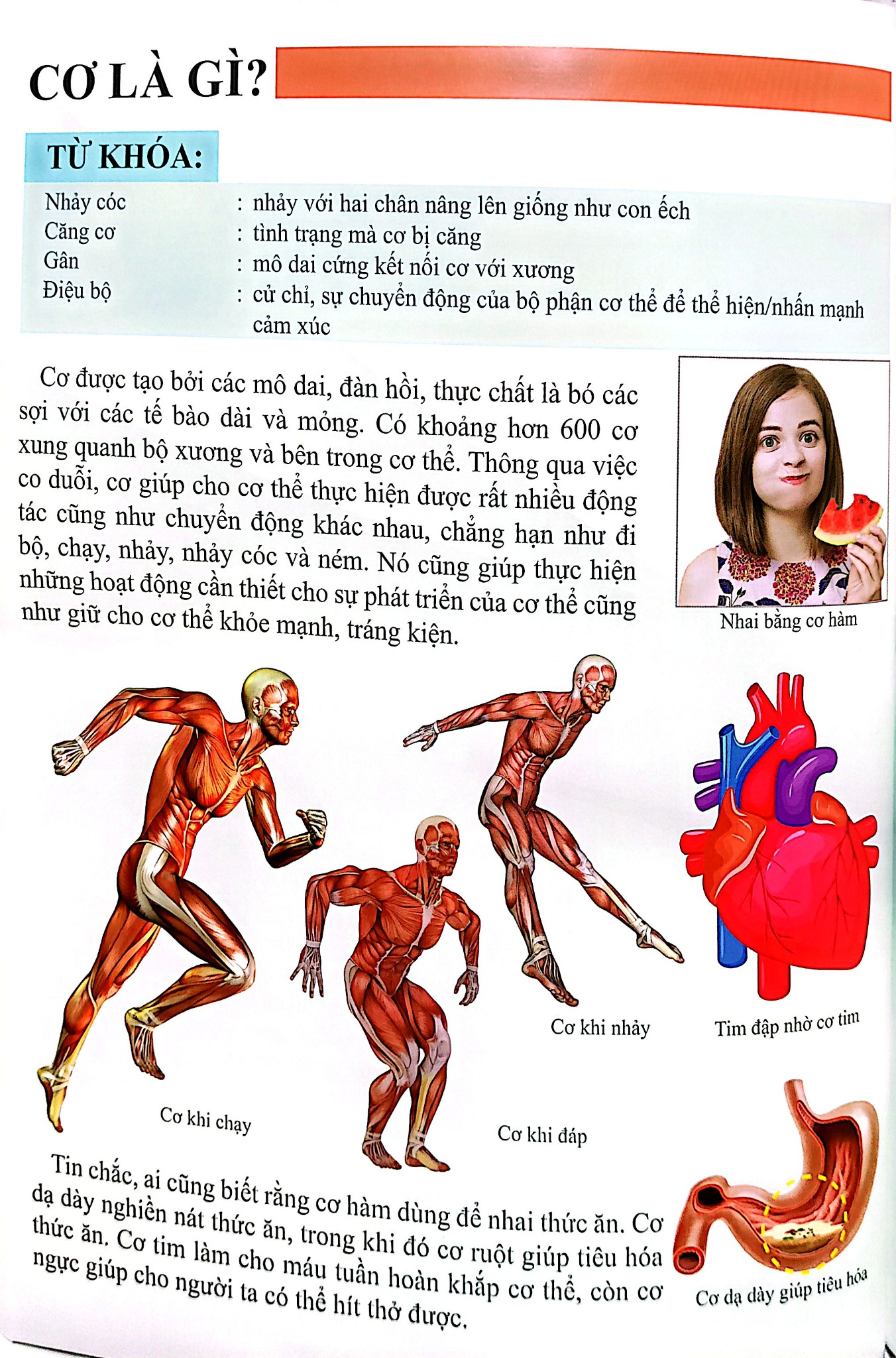 Combo 16 Cuốn Cơ Thể Của Tôi Hoạt Động Như Thế Nào ?