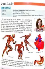 Combo 16 Cuốn Cơ Thể Của Tôi Hoạt Động Như Thế Nào ?