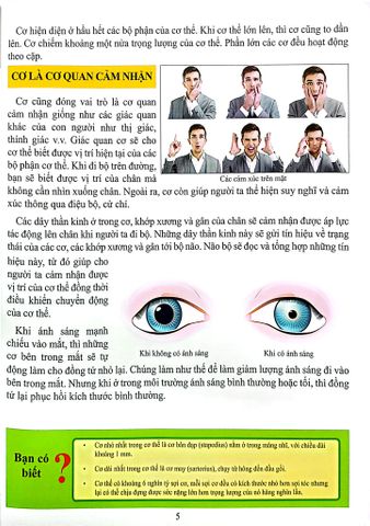  Combo 16 Cuốn Cơ Thể Của Tôi Hoạt Động Như Thế Nào ? 