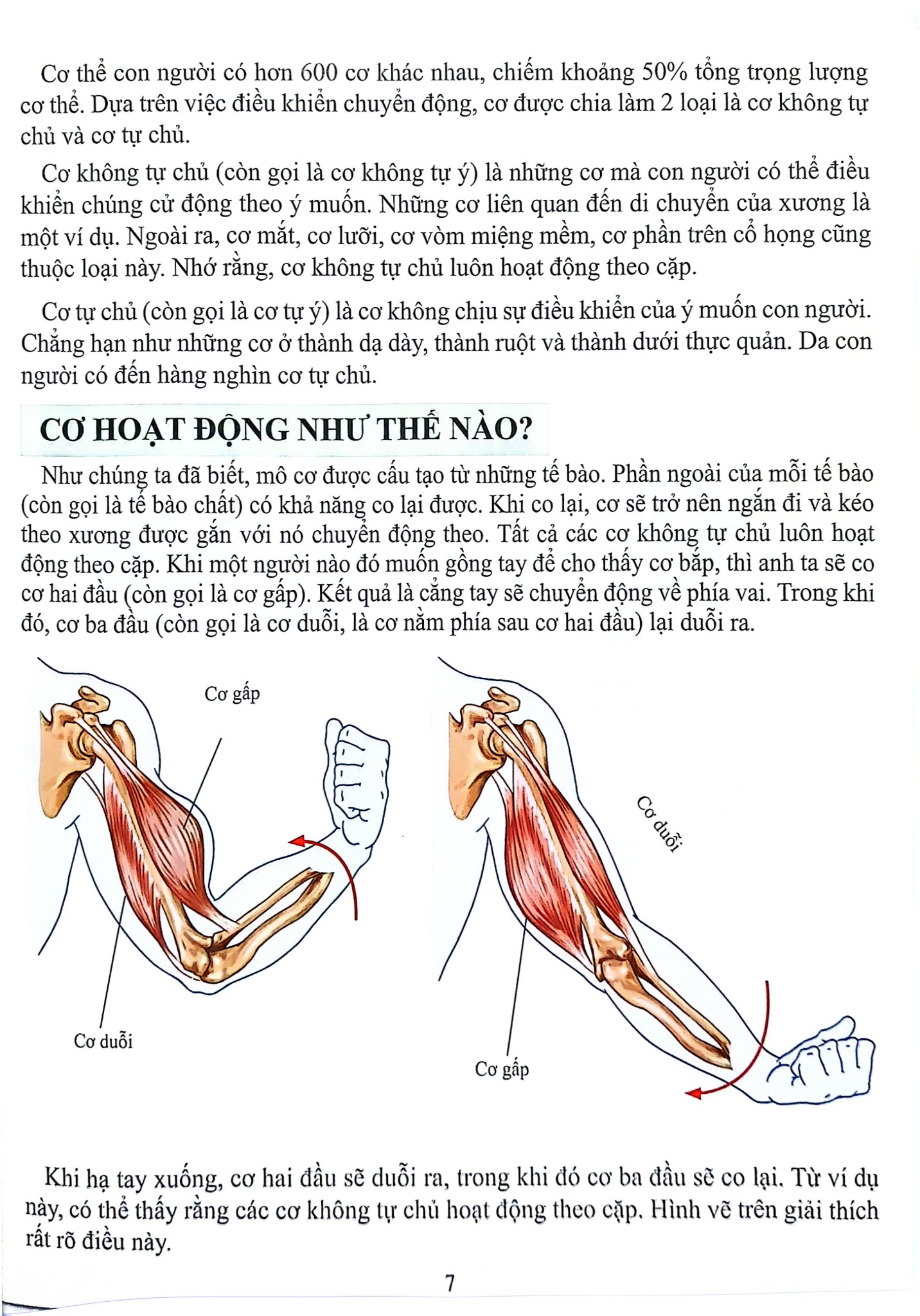 Cơ Thể Của Tôi Hoạt Động Như Thế Nào - Cơ - T.R.Bhanot