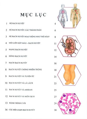  Combo 16 Cuốn Cơ Thể Của Tôi Hoạt Động Như Thế Nào ? 