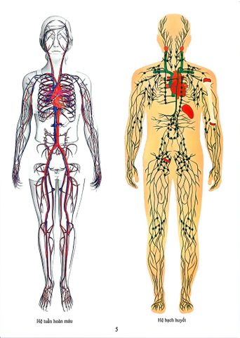  Combo 16 Cuốn Cơ Thể Của Tôi Hoạt Động Như Thế Nào ? 