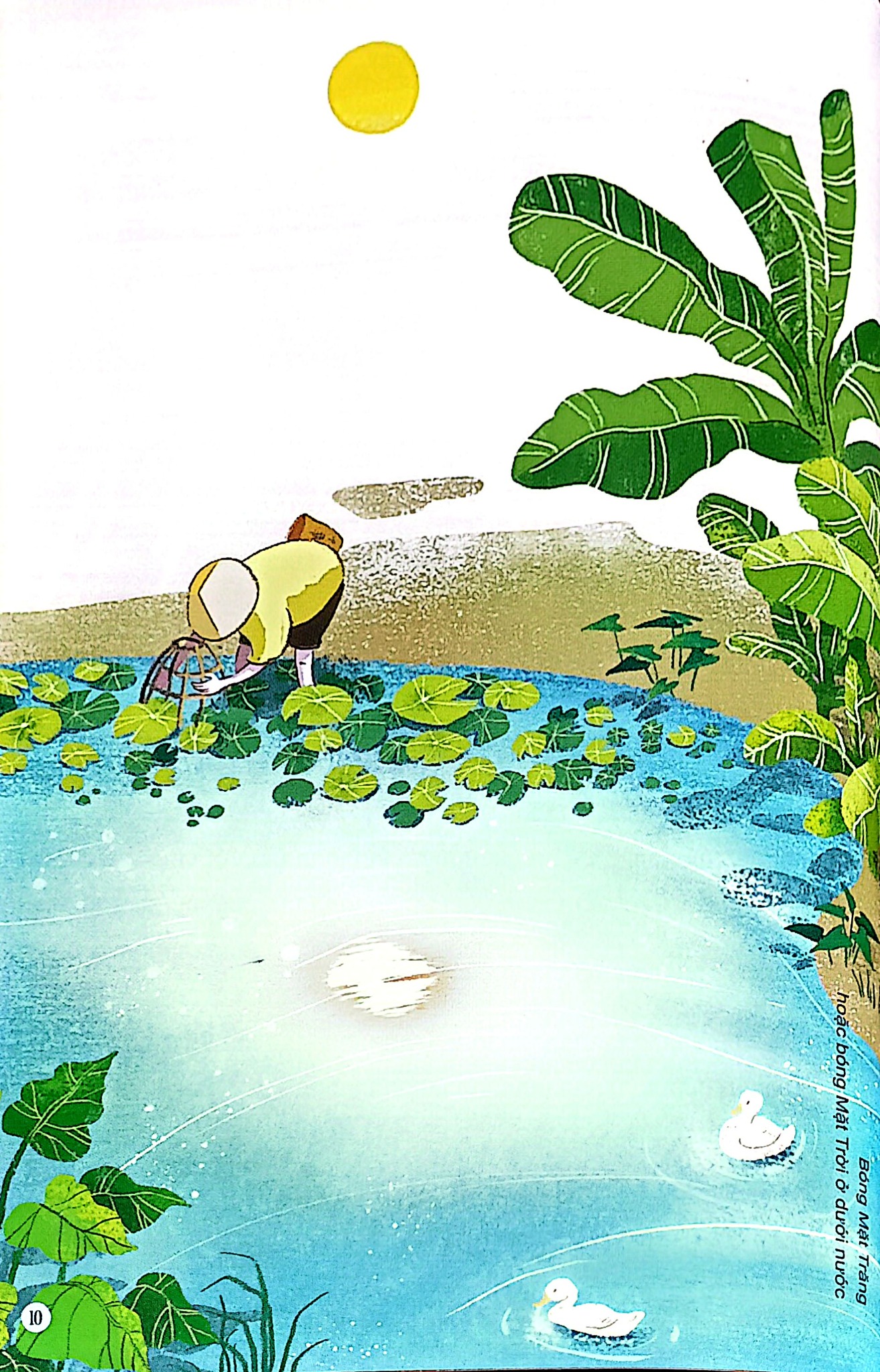 Câu Đố Dân Gian Bằng Tranh - Thiên Nhiên -  Hiếu Minh, Vườn Illustration