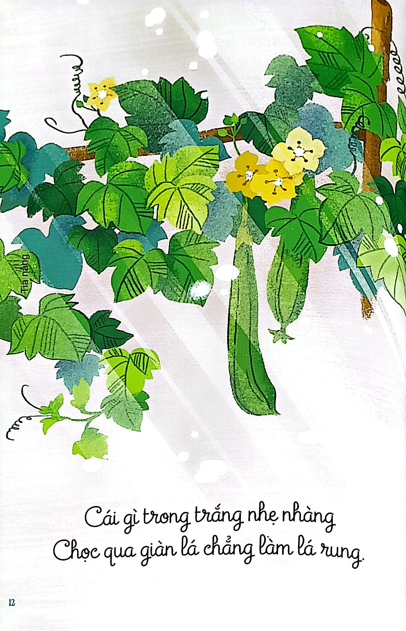 Câu Đố Dân Gian Bằng Tranh - Thiên Nhiên -  Hiếu Minh, Vườn Illustration