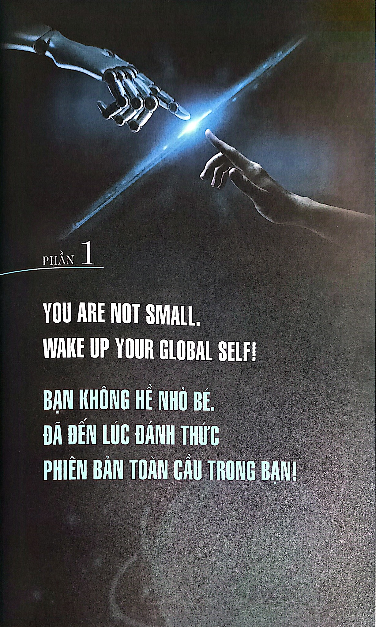 Go Global - Cẩm Nang Sống, Làm Việc Và Tỏa Sáng Toàn Cầu - 
Nguyễn Phi Vân