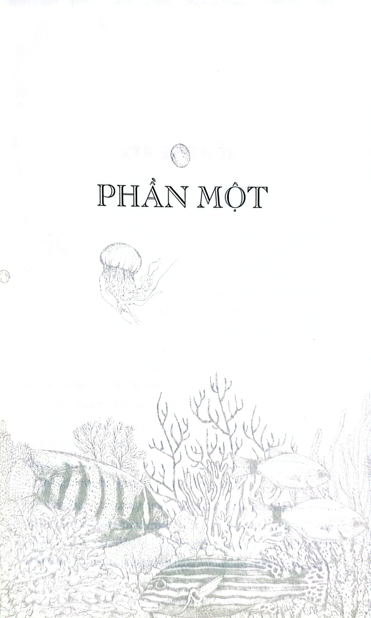Hai Vạn Dặm Dưới Biển - Jules Verne